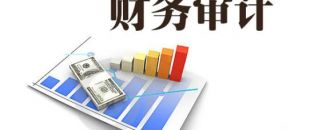 企業(yè)為什么要做財(cái)務(wù)審計(jì)？